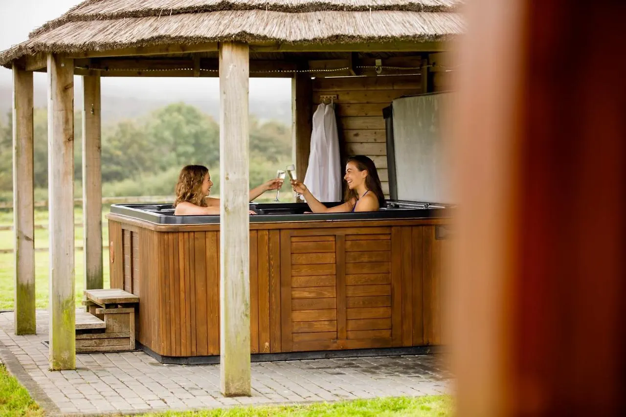 Mulberry House Villa Swansea Holiday home