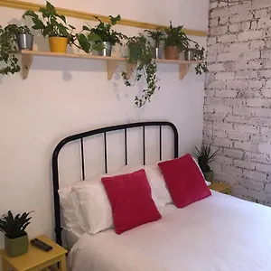  Homestay Clive Road